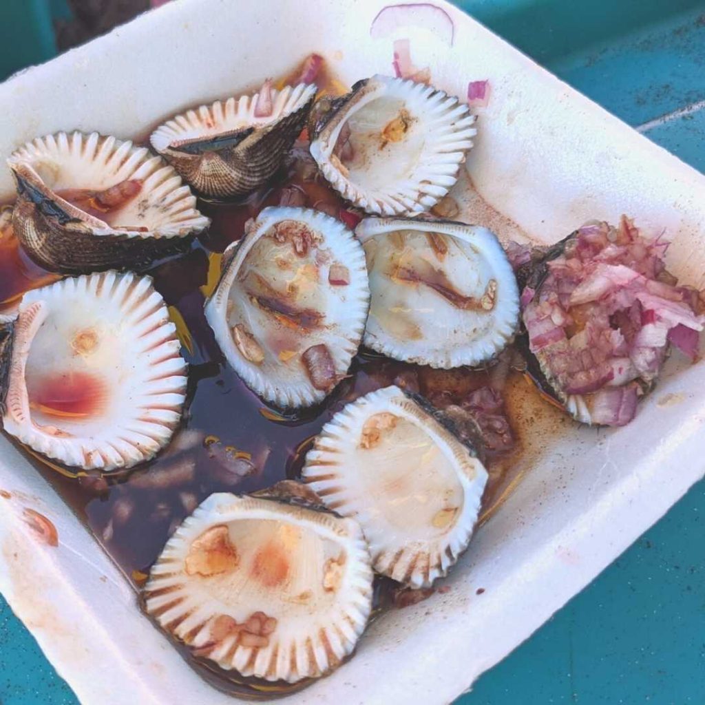Clams from a beach in Guatemala