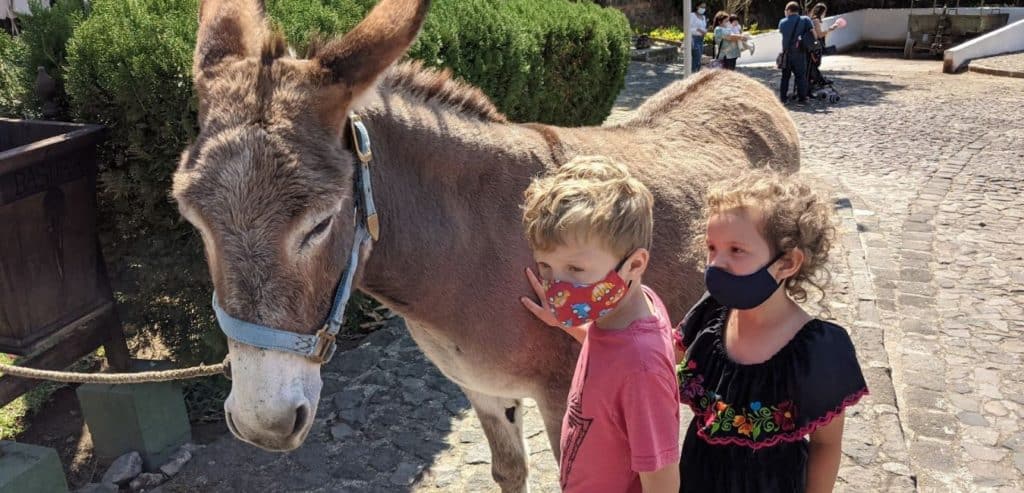 Two kids petting a burro at Finca Filadelfia