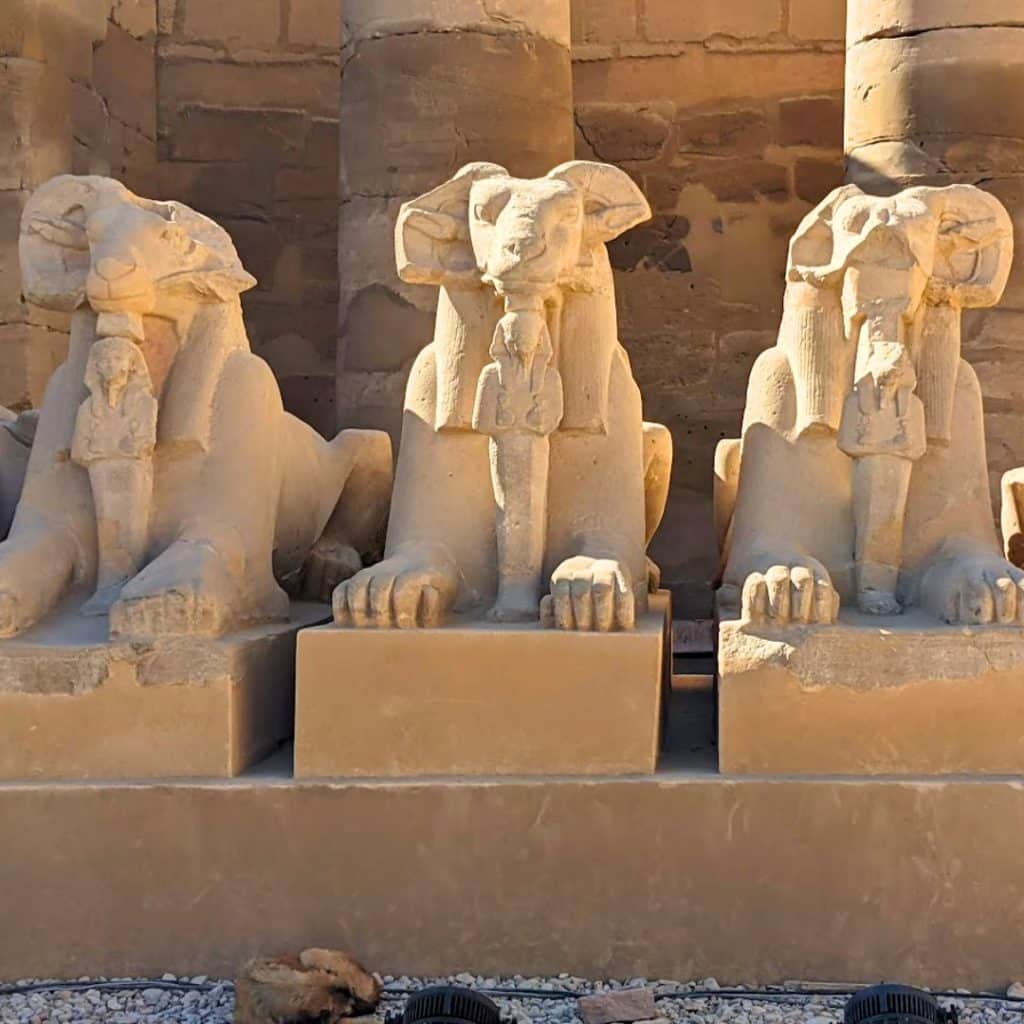 Sphinxes in Luxor