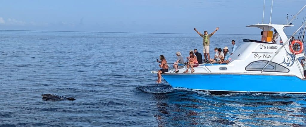 A tour boat off the coast of San Cristobal Island watching dolphins in the water.