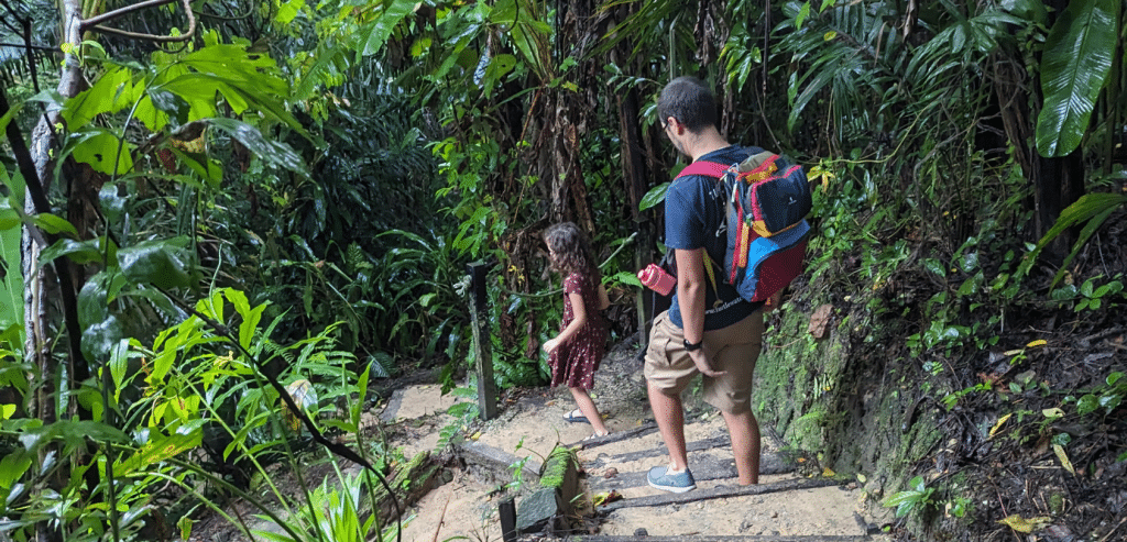 A father and daughter walk down a series of steps in a heavily forested park.