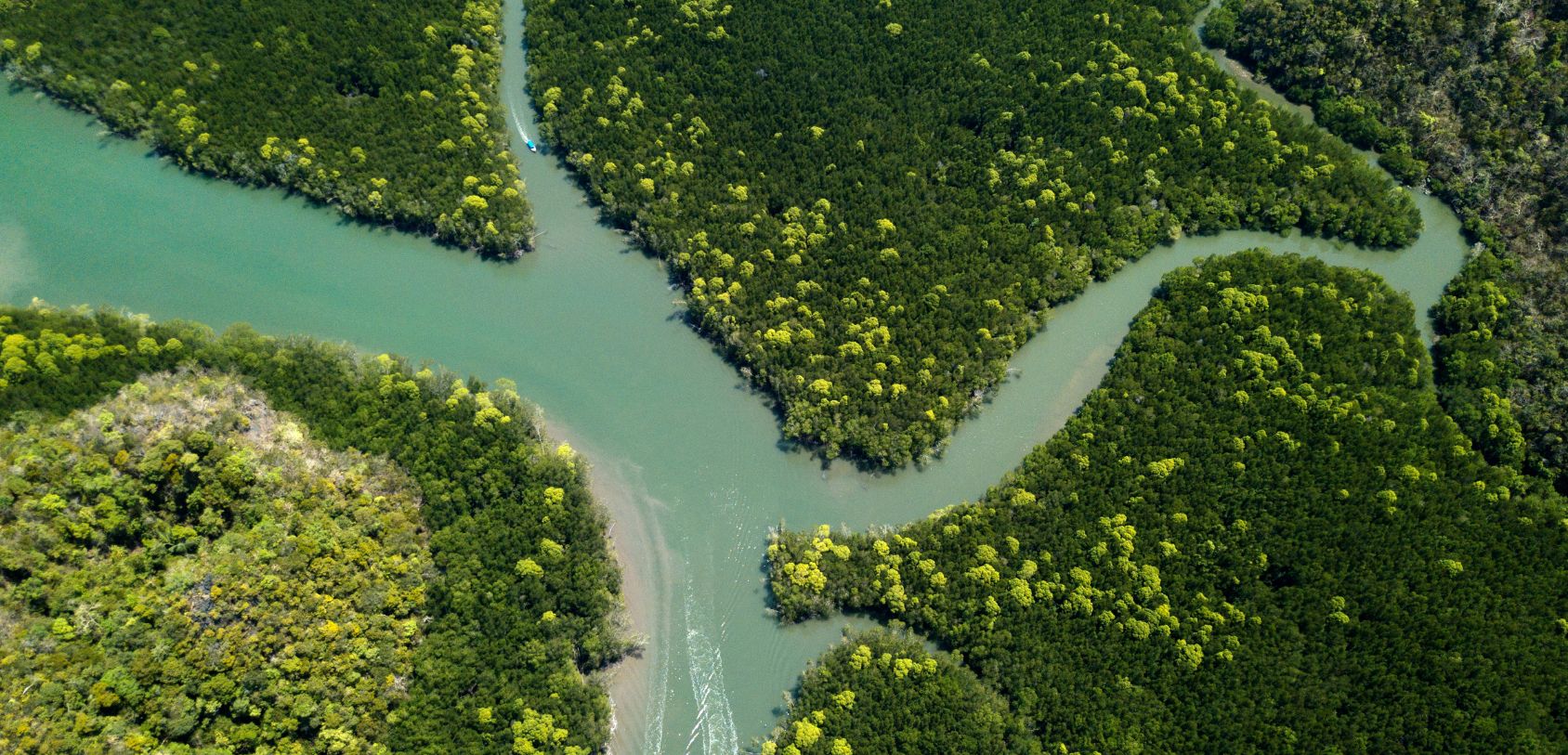 Kilim River Mangroves Tour - Kilim Geoforest