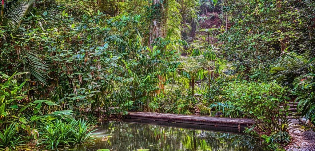 A wooden bridge over some water in the Tropical Spice Garden