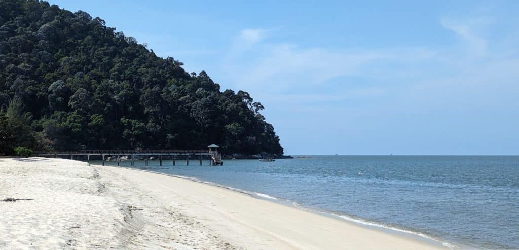 An empty white sand beach borders a blue ocean in front of dense jungle trees. An empty boat dock sits in the distance.