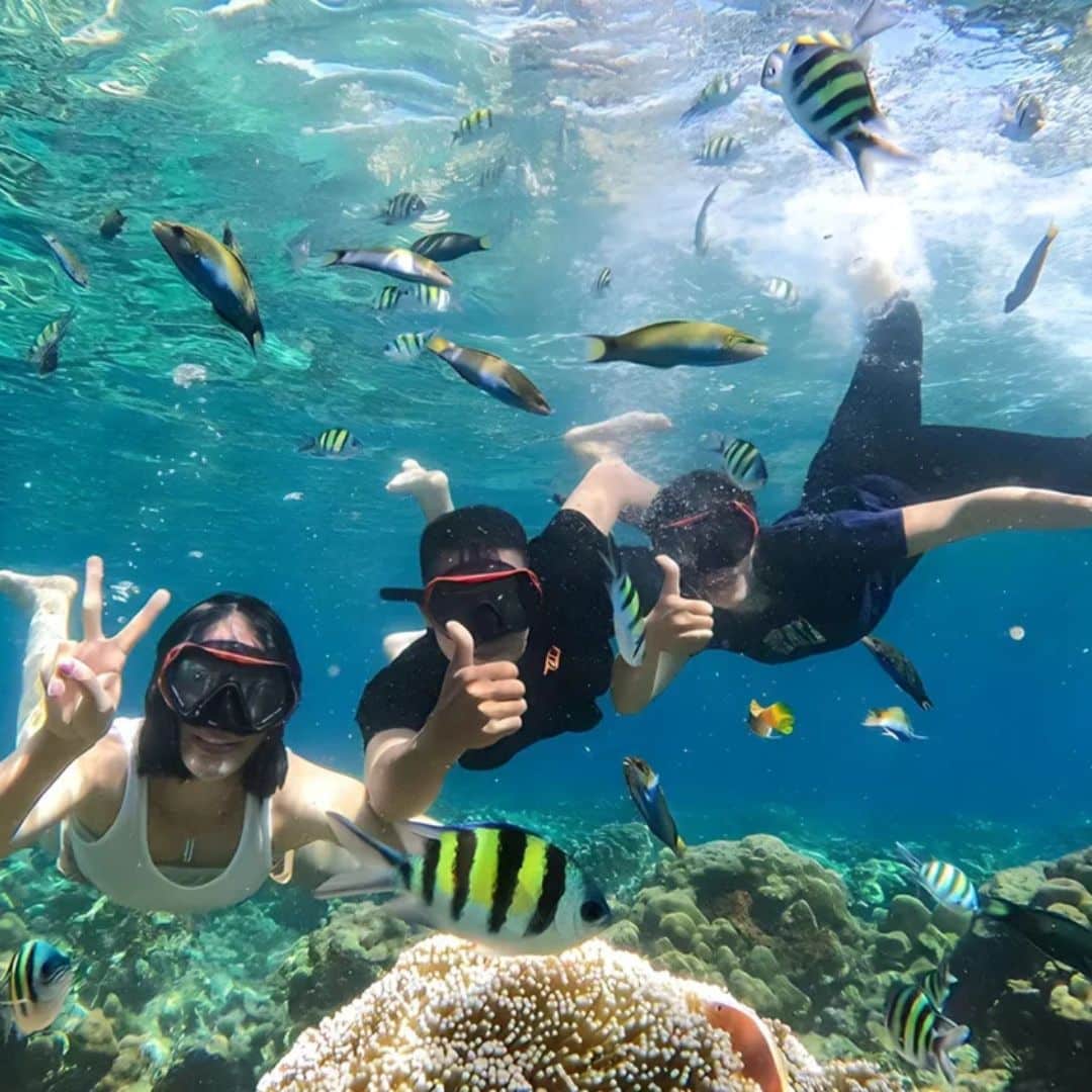3 Gilis Snorkeling Day Tour