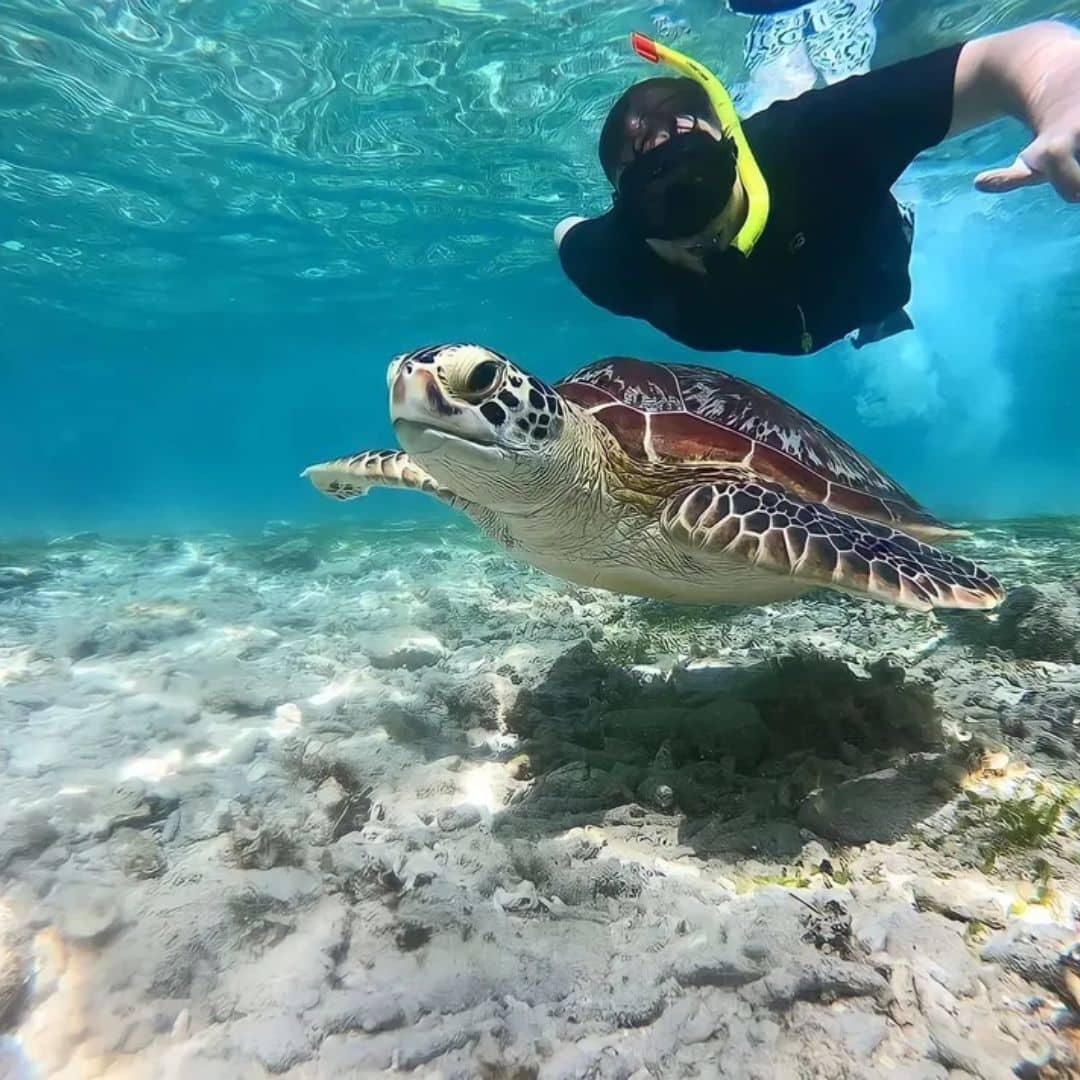 Gili Terawangan: Island Hopping Snorkeling Trip