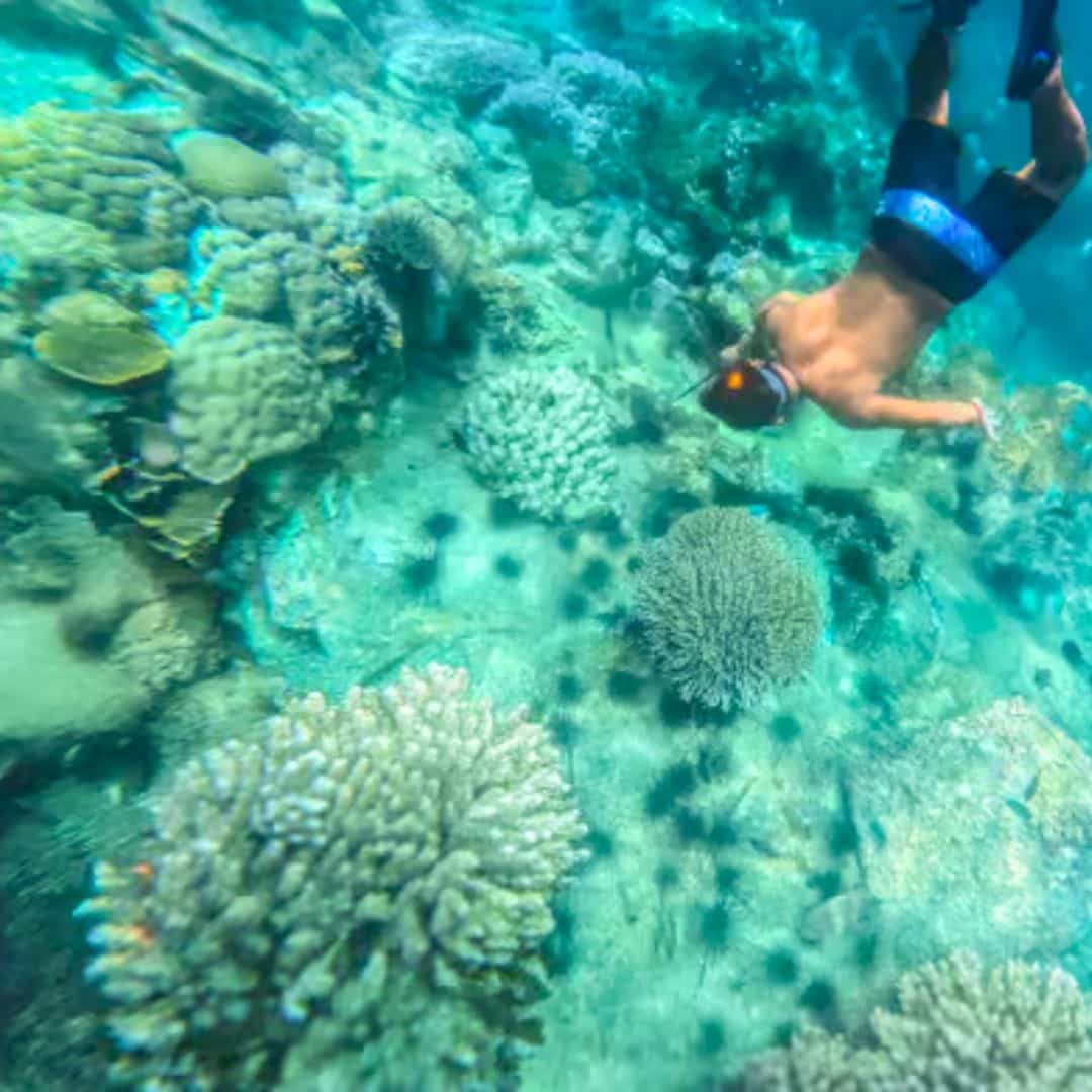 Nha Trang: Half-Day Snorkeling Adventure