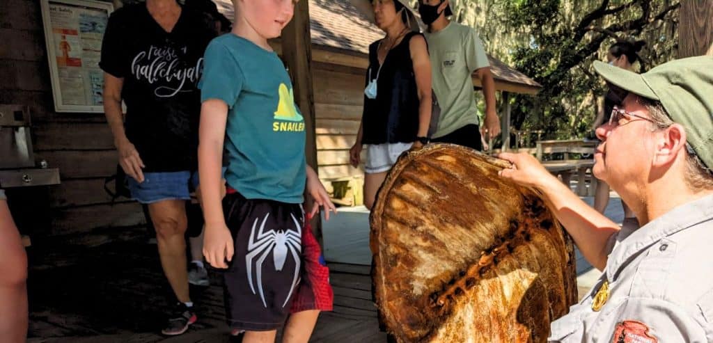 A ranger explaining turtle shells at Cumberland National Sea Shore