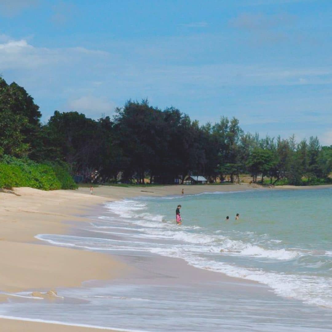 Desaru Coast Tidepool Discovery Tour
