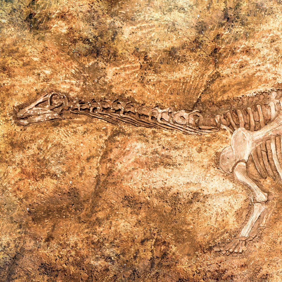 A Nature-focused Stay Near the National Park