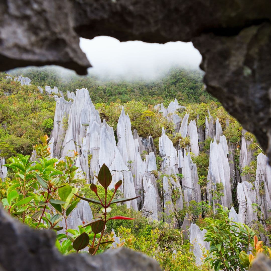 Stays near Gunung Mulu