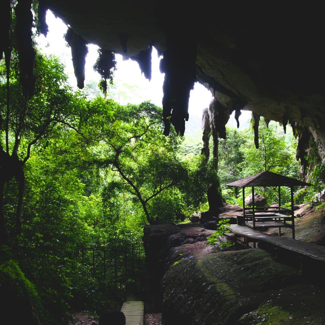 Sutera Horizon at Niah National Park