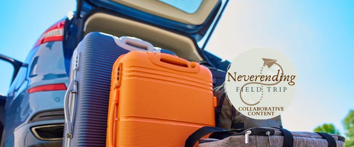 Suitcases ready to be packed in the back of a car