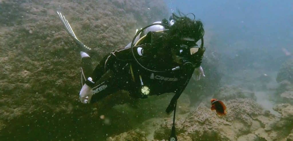 A diver facing off with a small clownfish