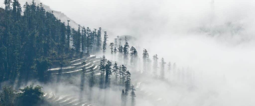 Clouds over rice terraces in Sapa