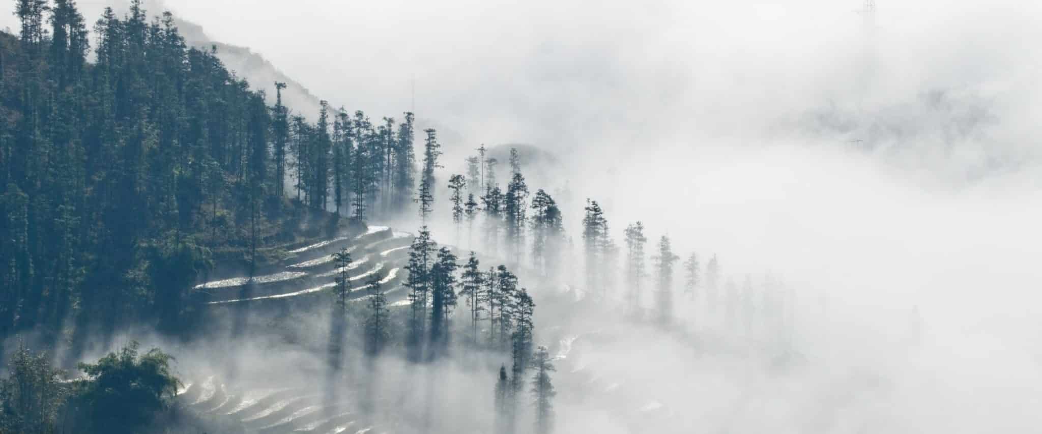 Clouds over rice terraces in Sapa