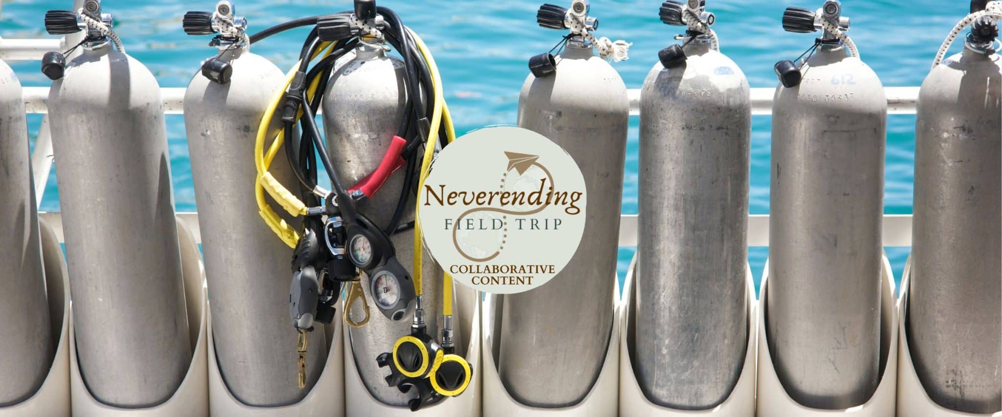 A row of scuba tanks lined up