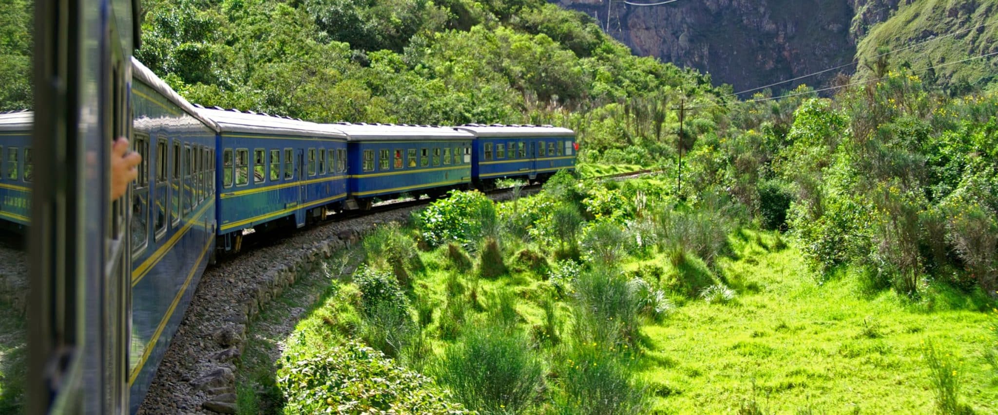 A train traveling through very green scenery